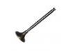 Valvula de escape Exhaust Valve:13202-40L01